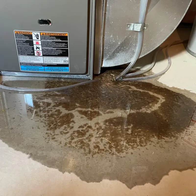 Appliance Leak Cleanup in Cambria County, PA